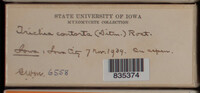 Image Associated With the Occurence